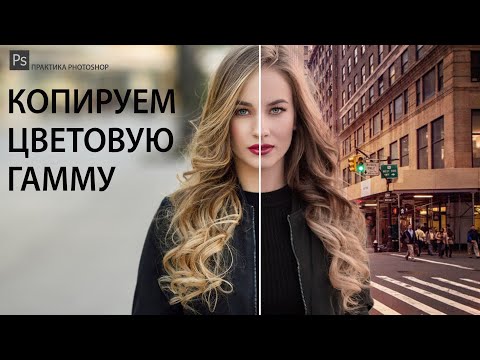 Видео: КОПИРУЕМ ЦВЕТОВУЮ ГАММУ ФОТОГРАФИИ