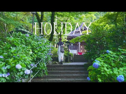 Видео: Мы с женой посетили храм в Токио, где цветут гортензии.
