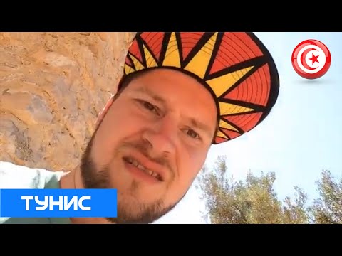 Видео: ТУНИС. Крокодиловая ферма. Остров Джерба.