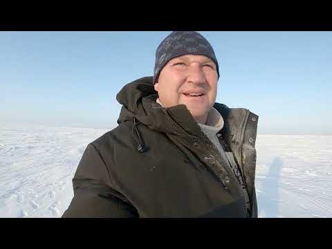Видео: Вячеславское водохранилище . Ловим судака 2 .03 .2025 г.