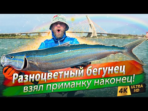 Видео: 🇹🇼 Океанический кастинг и джиггинг. Дна нет, ищем рыбу!