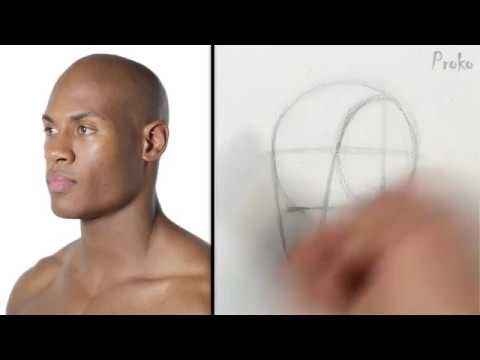Видео: Перевод Proko "Как быстро рисовать голову, Loomis method"