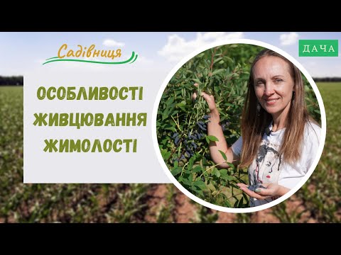 Видео: Особливості Живцювання Жимолості. Правила Розмноження Жимолості.