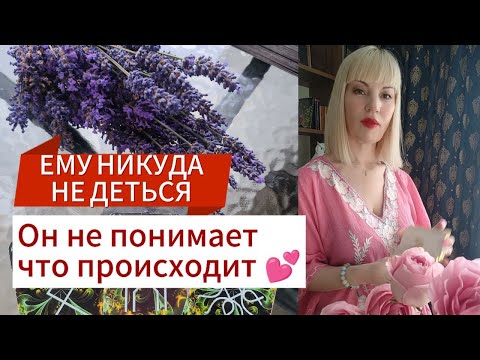 Видео: 🔥🤯💃ОН НЕ СМОЖЕТ БЕЗ ТЕБЯ🍀 НАЧАЛО НОВОЙ ЖИЗНИ или ЭТАПА В ОТНОШЕНИЯХ💕#таро#будущеетаро#гаданиеонлайн
