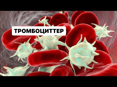 Видео: Тромбоциттер