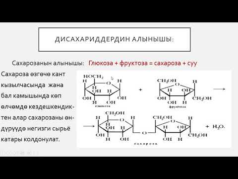 Видео: Дисахариддер. (Углеводдор) 10-класс