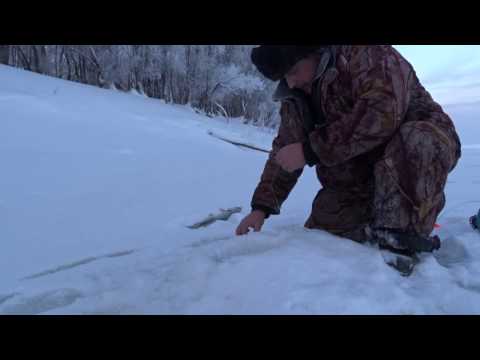 Видео: Жерлицы на Иртыше в районе Тобольска 19.01.17г