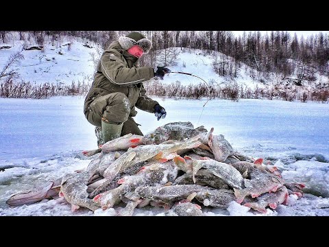 Видео: ЭТО ДИНОЗАВРЫ КАКИЕ-ТО!!! ПЕРВЫЙ ЛЕД 2021-2022. ЯКУТИЯ. Рыбалка по первому льду.