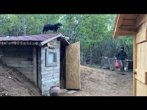 Видео: День из жизни горного человека, живущего один и счастливо с животными. Приготовление французских