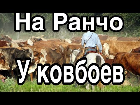 Видео: Дальнобой по США Ферма в Техасе VLOG#121