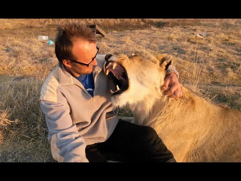 Видео: История одного льва - Уша