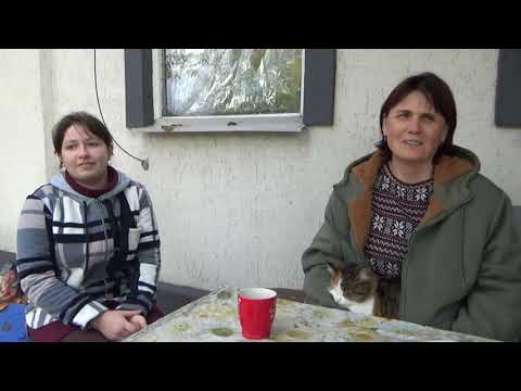 Видео: Синуля радує оцінками 👌