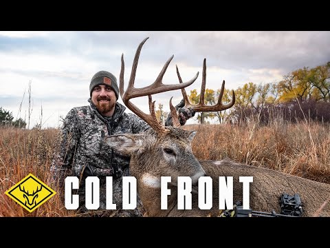 Видео: Определение времени ХОЛОДНОГО ФРОНТА | 3 крупных суммы ушли за 1 час...