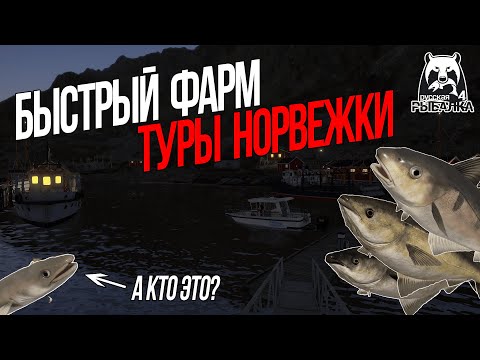 Видео: 🐠 Норвежка с нуля | UPDATE | Русская Рыбалка 4 | РР4