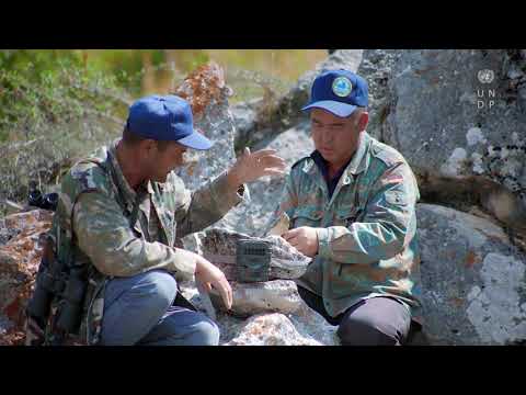 Видео: Животный мир Кан-Ачуу