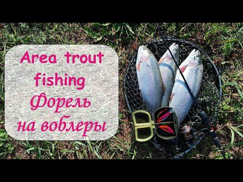 Видео: Area trout fishing.  Форель на воблеры