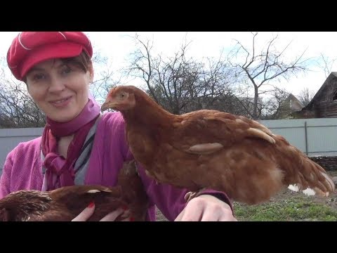 Видео: Деревенская жизнь. 2 серия.  поселок Мстера.
