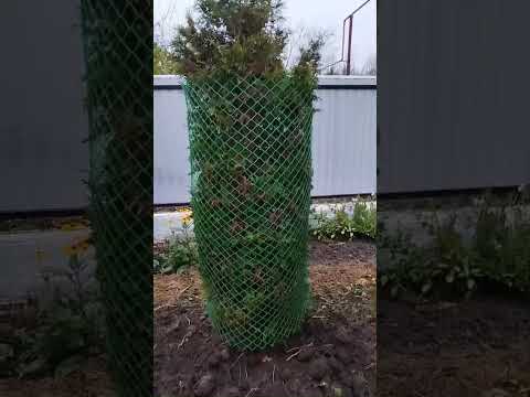 Видео: Доброе утро, всем хорошего настроения!