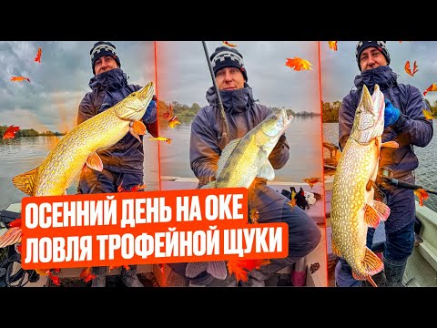 Видео: ОСЕННИЙ ДЕНЬ НА ОКЕ! ЛОВЛЯ ТРОФЕЙНОЙ ЩУКИ!