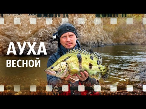Видео: Ауха весной (река Амур)