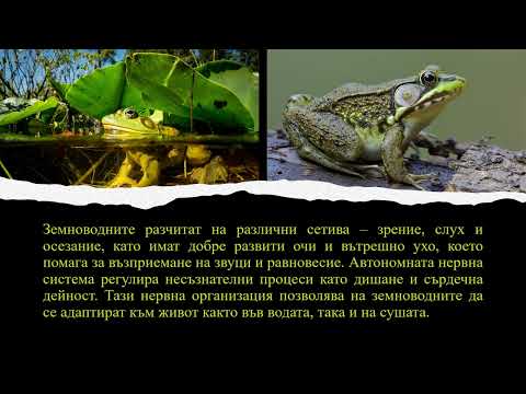 Видео: ТЕМА №52 - ДРАЗНИМОСТ ПРИ ЖИВОТНИТЕ