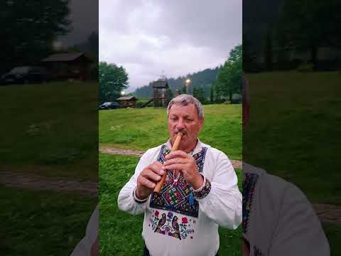 Видео: 10 жовтня 2025 р.