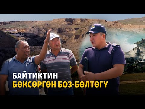 Видео: Байтиктин бөксөргөн Боз-Бөлтөгү