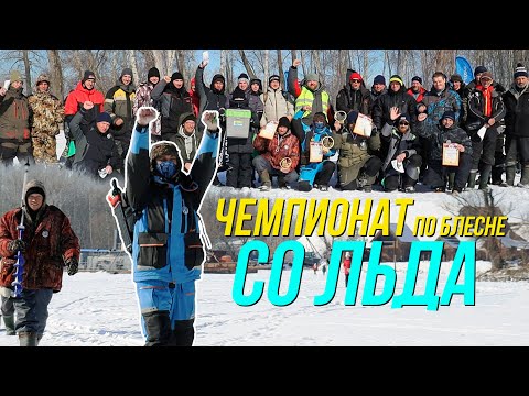 Видео: Чемпионат Энгельсского муниципального района по блесне со льда 2024