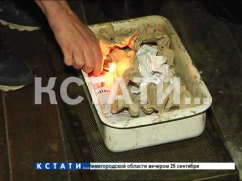 Видео: Еду на костре вынуждена готовить многодетная семья, которую лишили благ цивилизации