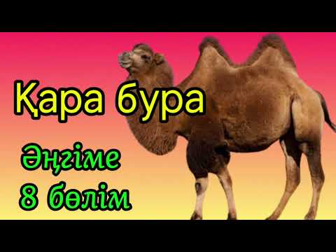 Видео: Қара бура / Асқар Алтай / Әңгіме