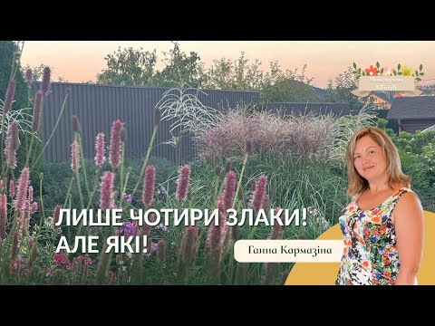 Видео: Лише чотири злаки! Але які!