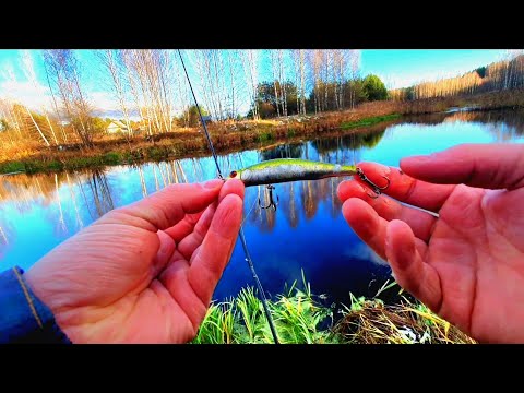 Видео: РЫБАЛКА С БЕРЕГА на ВОБЛЕРЫ,ВСТРЕЧА С БРАКОНЬЕРАМИ!!!ПЕРВЫЙ СНЕГ!