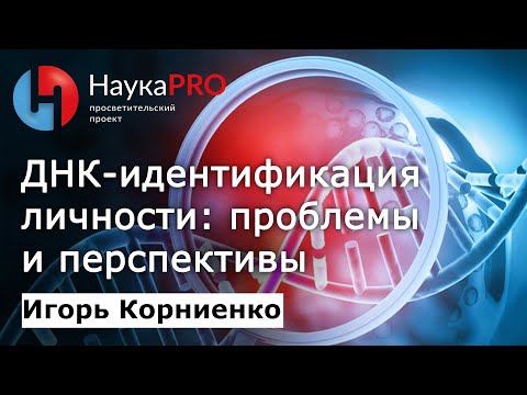 Видео: ДНК-идентификация личности | Лекции по криминалистике – генетик Игорь Корниенко | Научпоп