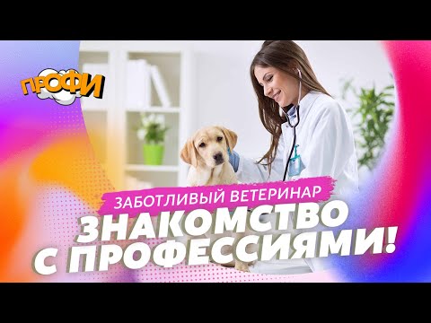 Видео: Как стать ветеринаром: Путь к профессии и секреты работы