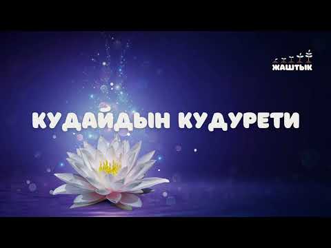 Видео: Кудайдын кудурети