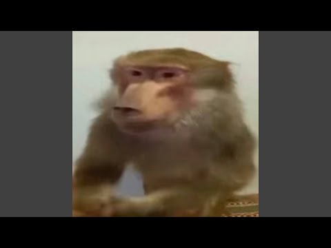 Видео: Голливуд