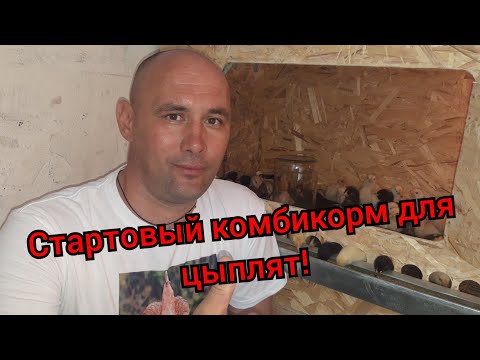 Видео: Стартовый комбикорм для цыплят мясо-яичного направления!