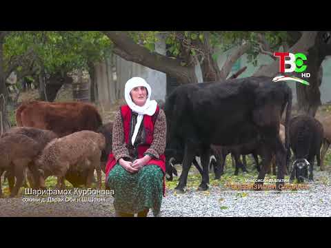 Видео: Деҳаи Дараи Об н. Ш. Шоҳин | Дар деҳа