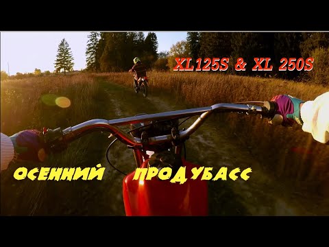 Видео: Осенний Продубас "полторы Хонды" XL125s / XL250s