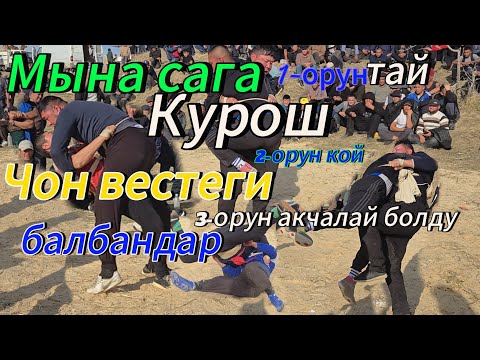 Видео: Нурбек балбандын сурмой Курошу