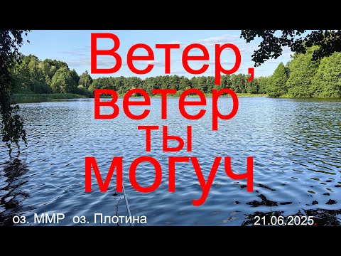Видео: Ветер ветер ты могуч. 21.06.2025. озеро ММР. пгт. Кратово. Рыбалка в Подмосковье.