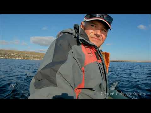 Видео: Первый выход на открытую воду