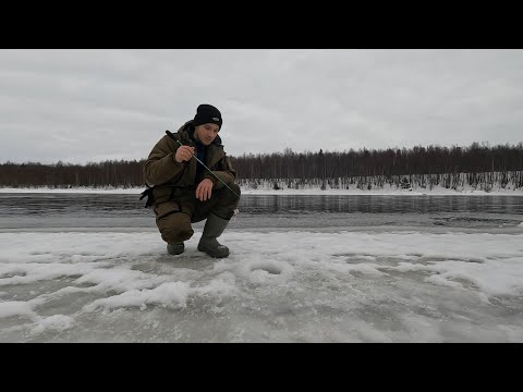 Видео: РЕКА/КАРЕЛИЯ/СИГ И ХАРИУС!