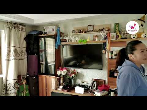 Видео: Шилтэй Баагий - Байшингаа өөрөө барьж буй эмэгтэй