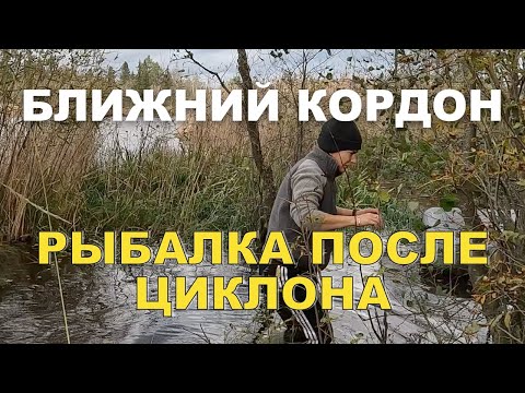 Видео: Неудачная рыбалка. Наше озеро затопило. Лодка уплыла.