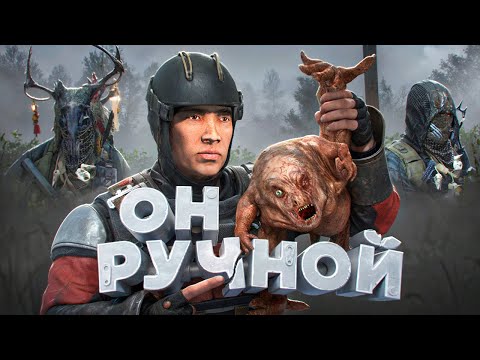 Видео: ПРИРУЧИЛ МУТАНТОВ в [DayZ Stalker RP]