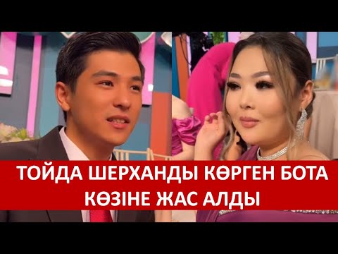 Видео: ТОЙДА ШЕРХАНДЫ КӨРГЕН БОТА КӨЗІНЕ ЖАС АЛДЫ