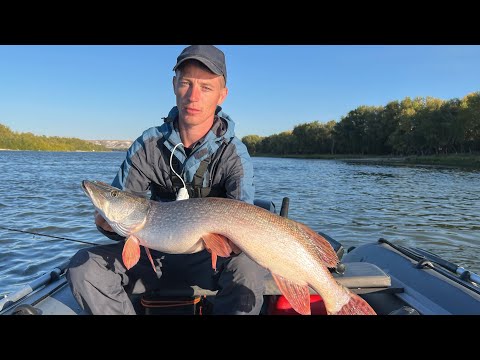 Видео: Я ЖДАЛ ЕЁ...! ЭМОЦИИ НЕ ПЕРЕДАТЬ СЛОВАМИ! Шикарная рыбалка осенью на спиннинг!