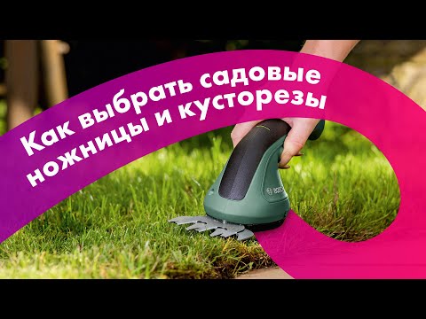 Видео: Как ВЫБРАТЬ КУСТОРЕЗ 🍃 АККУМУЛЯТОРНЫЕ или ЭЛЕКТРИЧЕСКИЕ  🔥 Обзор + ТЕСТ