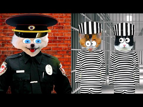 Видео: Шанелька Стала ПОЛИЦЕЙСКОЙ СОБАКОЙ! Кошки В ТЮРЬМЕ!!!